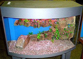 Custom aquariums