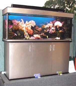 Classic aquariums